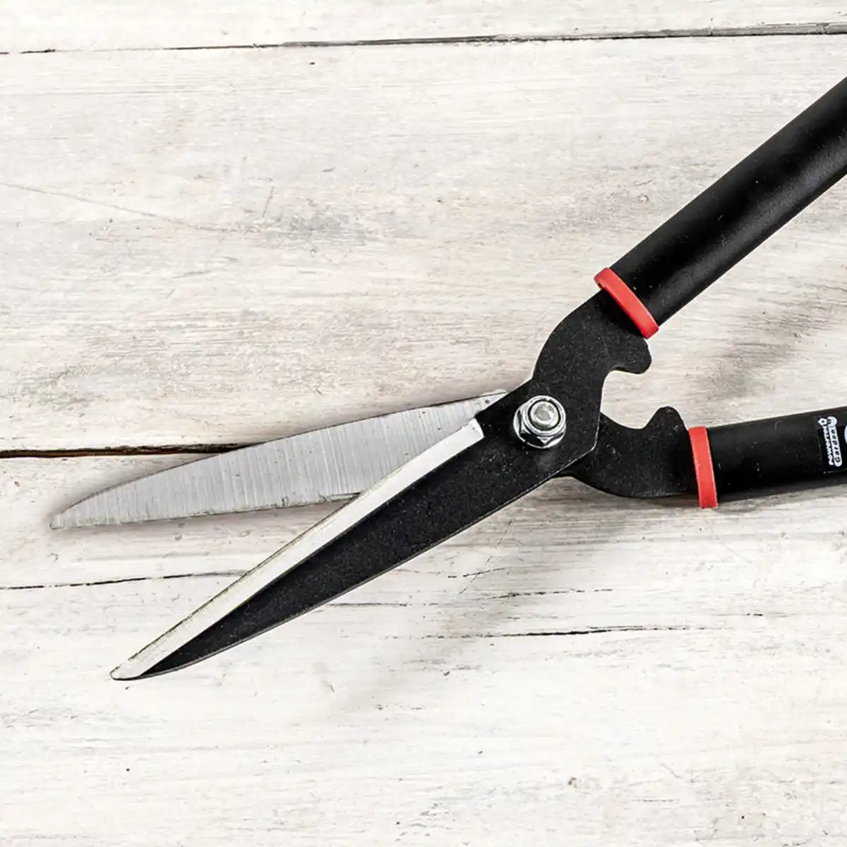 Bild 2 von Powertec Garden Formschnittschere