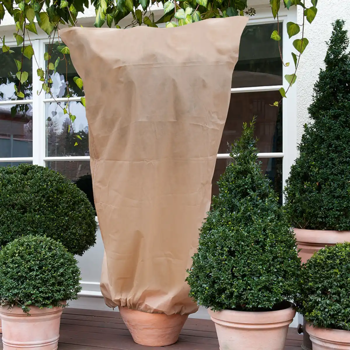 Bild 1 von Powertec Garden Pflanzenschutz-Vlieshaube