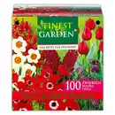 Bild 2 von Finest Garden Blumenzwiebeln