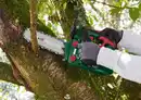Bild 3 von PARKSIDE® Benzin-Baumpflegesäge »PBBPS 25 A2«