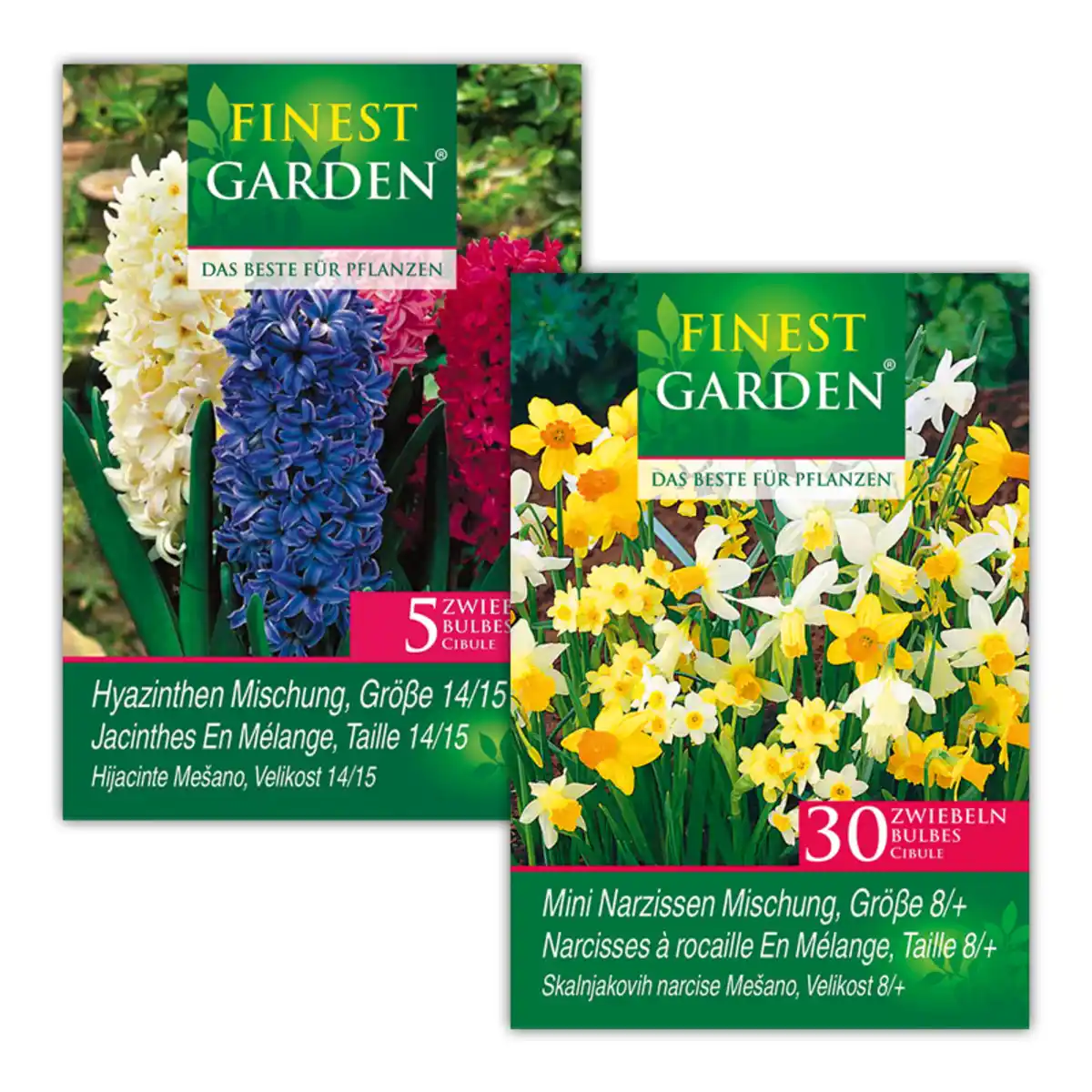 Bild 1 von Finest Garden Herbstblumenzwiebeln im Netzbeutel