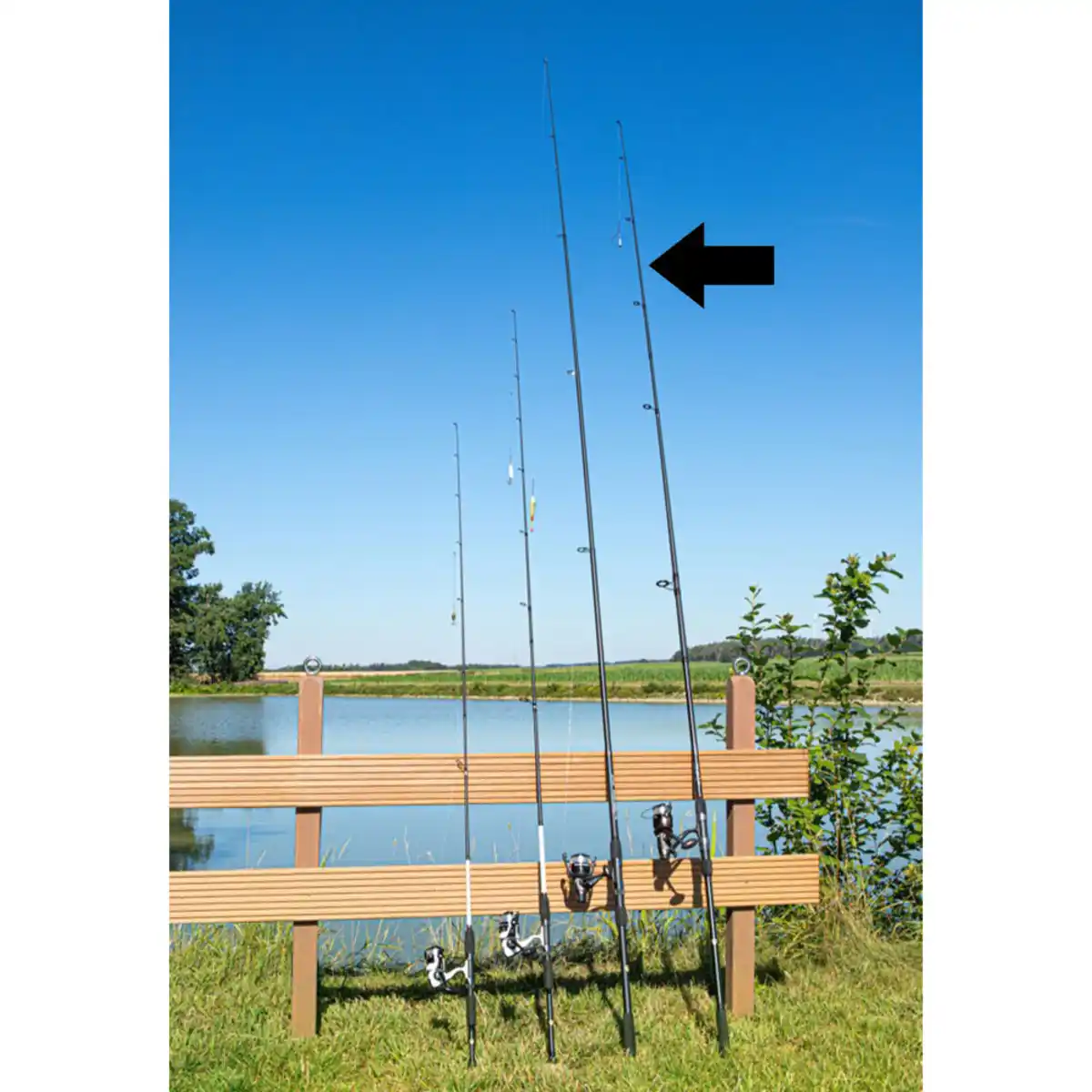 Bild 1 von Karpfen Grund Combo