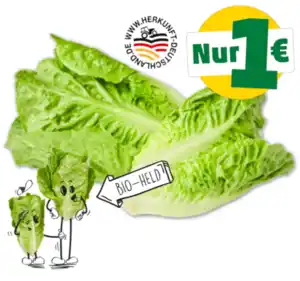 NATURGUT deutsche Bio Romana-Salatherzen