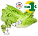 Bild 1 von NATURGUT deutsche Bio Romana-Salatherzen