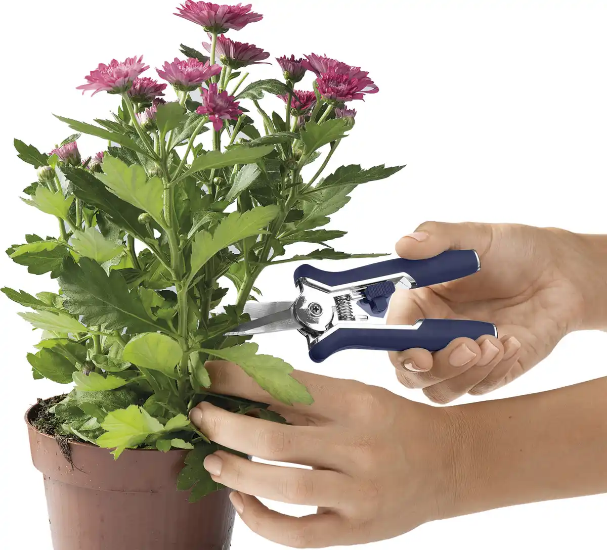 Bild 4 von IDEENWELT Mini-Feinschnittscheren, 2er-Set