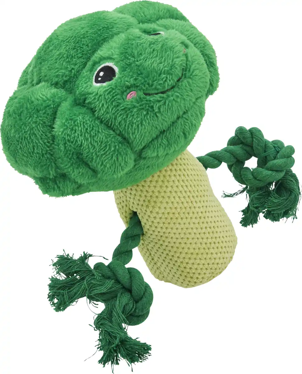 Bild 1 von IDEENWELT Kauspielzeug für Hunde, Brokkoli