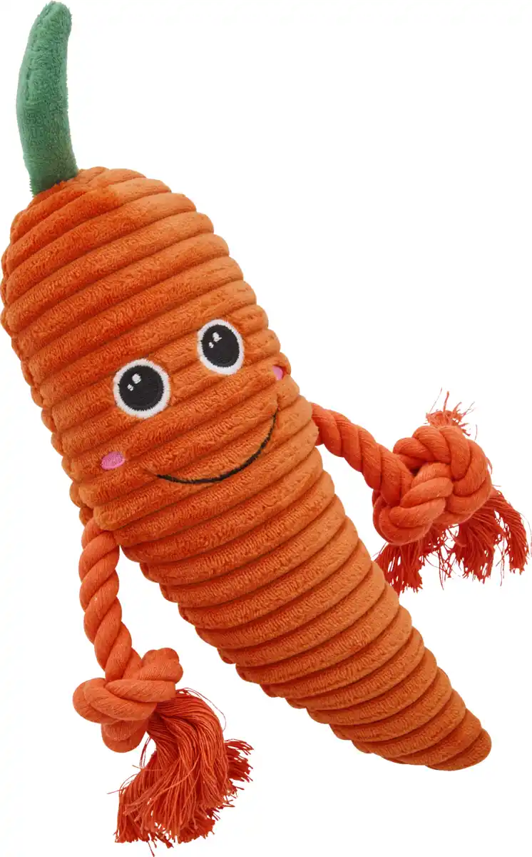 Bild 1 von IDEENWELT Kauspielzeug für Hunde, Karotte
