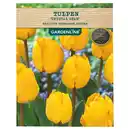 Bild 1 von GARDENLINE Frühlingsblumenzwiebeln Spezial
