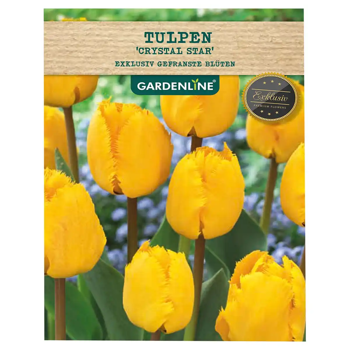 Bild 1 von GARDENLINE Frühlingsblumenzwiebeln Spezial