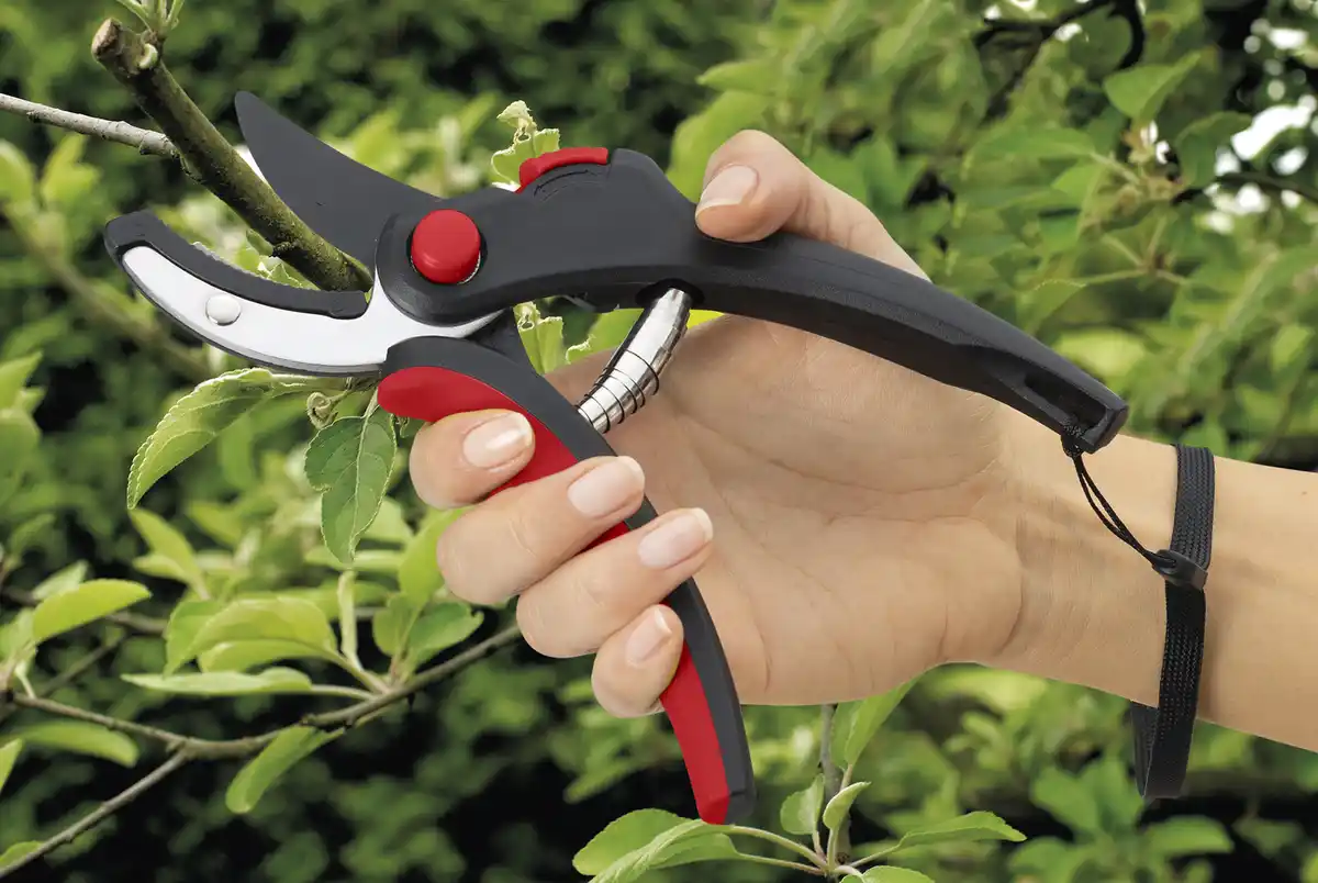 Bild 4 von IDEENWELT Gartenscheren, 2er-Set