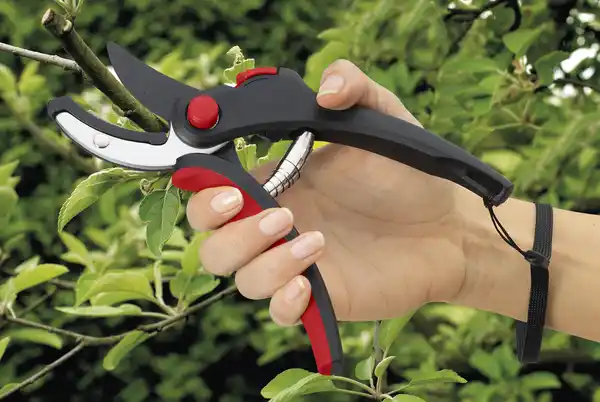 Bild 4 von IDEENWELT Gartenscheren, 2er-Set