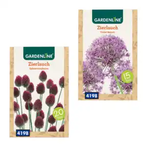 GARDENLINE Zierlauch-Blumenzwiebeln