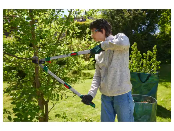 Bild 3 von PARKSIDE® Astschere Teleskop Amboss / Bypass