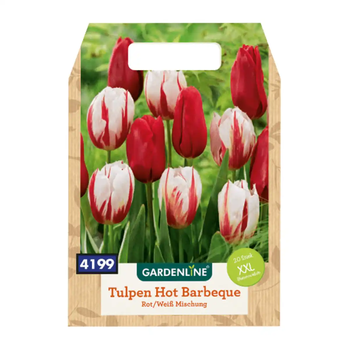 Bild 4 von GARDENLINE XXL-Blumenzwiebeln