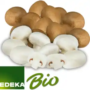 Champignons weiß oder braun