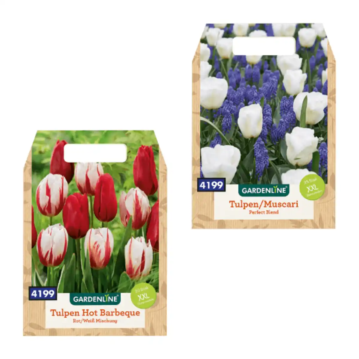 Bild 1 von GARDENLINE XXL-Blumenzwiebeln