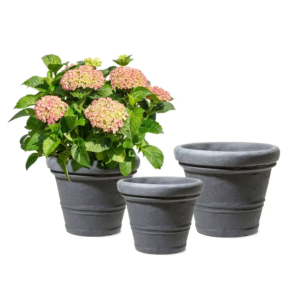 Bild 2 von Pflanzgefäß »Cremona«, 30 x 24,5 cm (ØxH), Kunststoff, granitschwarz