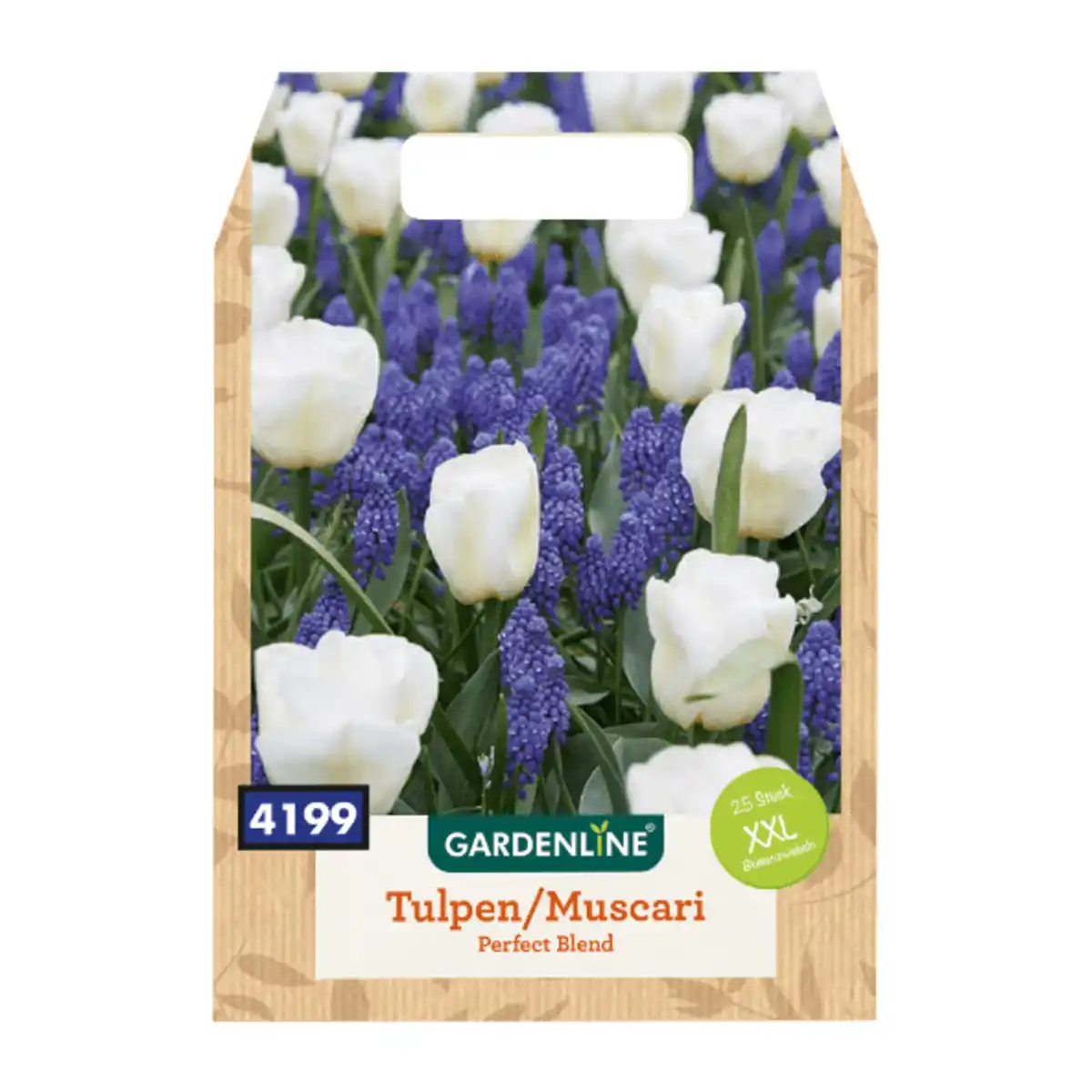Bild 3 von GARDENLINE XXL-Blumenzwiebeln
