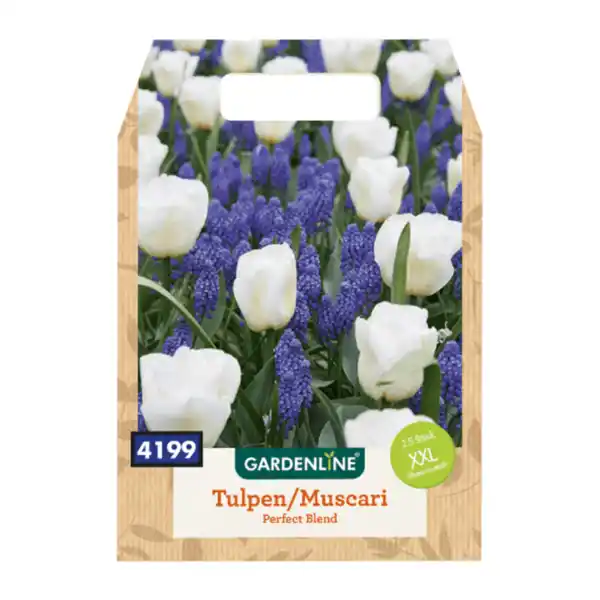 Bild 3 von GARDENLINE XXL-Blumenzwiebeln