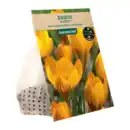 Bild 2 von GARDENLINE Herbstblumenzwiebel-Spezialität 250g