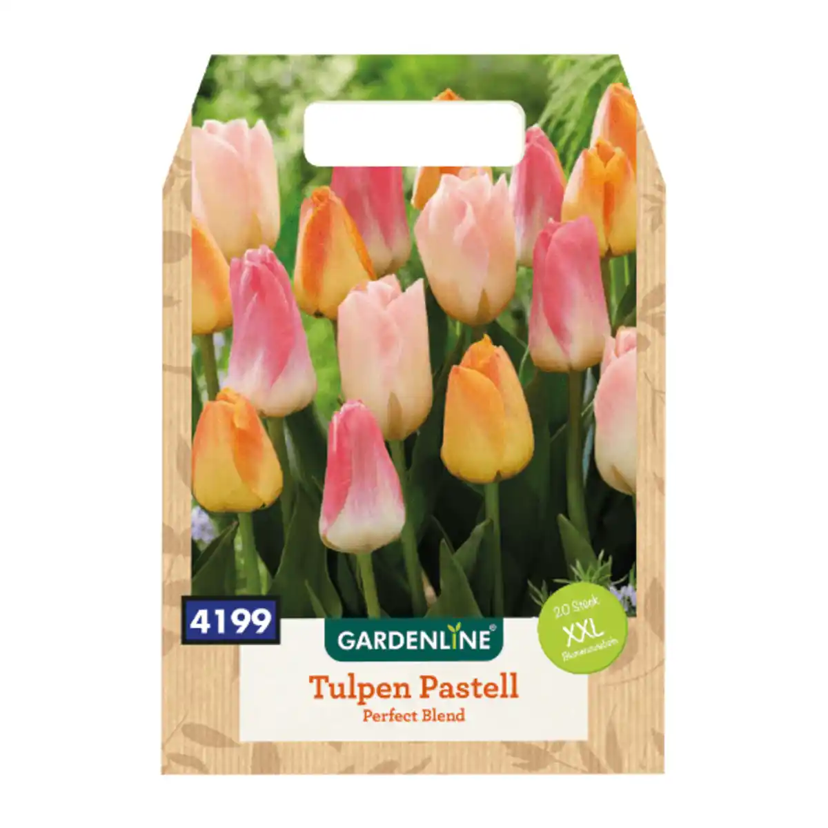 Bild 2 von GARDENLINE XXL-Blumenzwiebeln