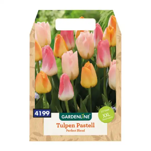 Bild 2 von GARDENLINE XXL-Blumenzwiebeln