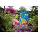 Bild 3 von FLORAGARD Blumenerde »einfach leicht«, 25,0L