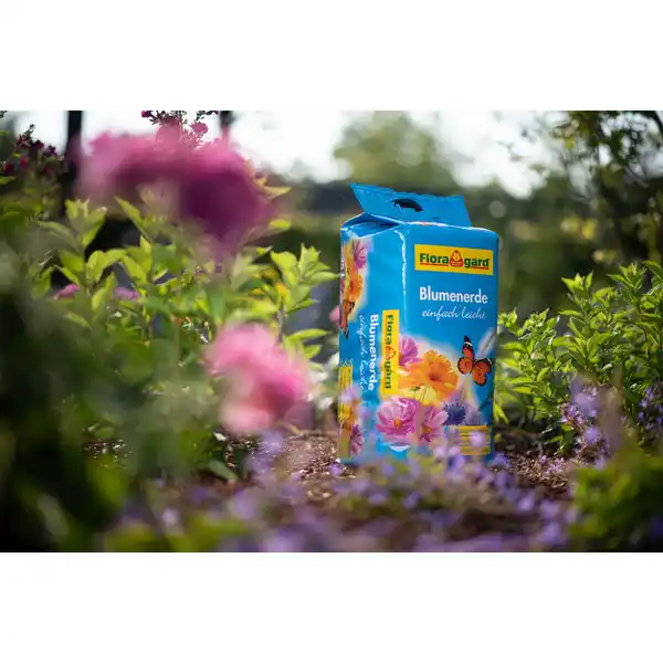 Bild 3 von FLORAGARD Blumenerde »einfach leicht«, 25,0L
