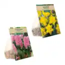 Bild 1 von GARDENLINE Herbstblumenzwiebel-Spezialität 250g