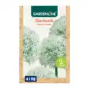 Bild 2 von GARDENLINE Zierlauch-Blumenzwiebeln