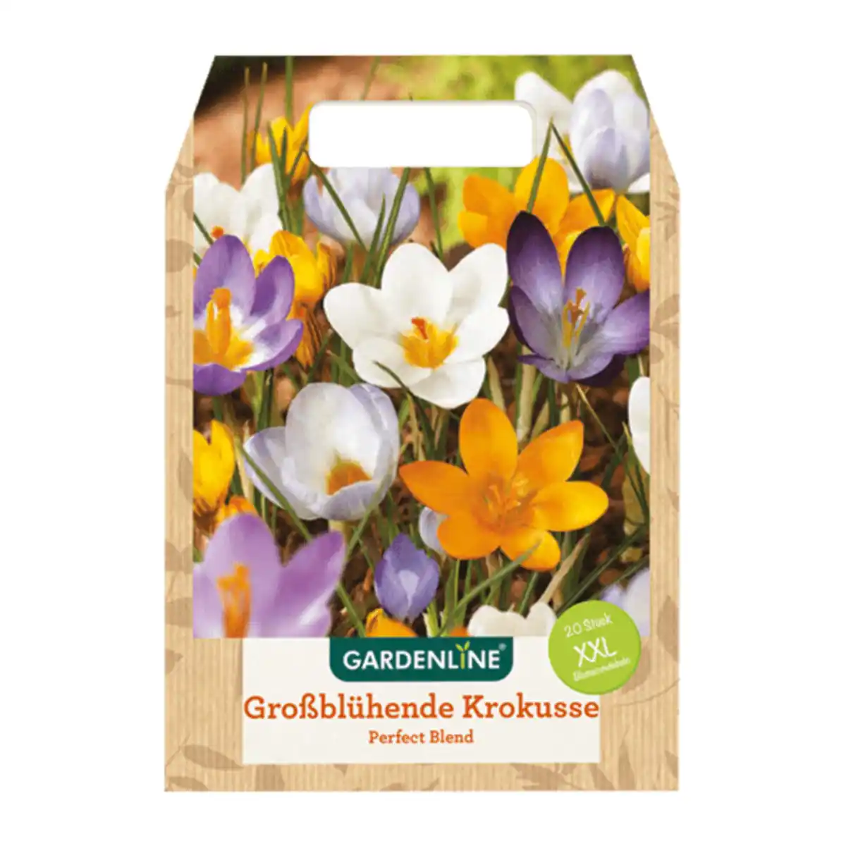 Bild 4 von GARDENLINE XXL-Blumenzwiebeln