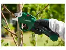 Bild 2 von PARKSIDE® 4V Akku-Gartenschere »PGAS 14 A1«, mit integriertem Akku ohne USB-Netzadapter
