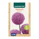 Bild 3 von GARDENLINE Zierlauch-Blumenzwiebeln