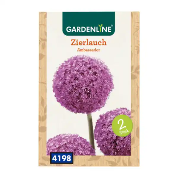 Bild 3 von GARDENLINE Zierlauch-Blumenzwiebeln