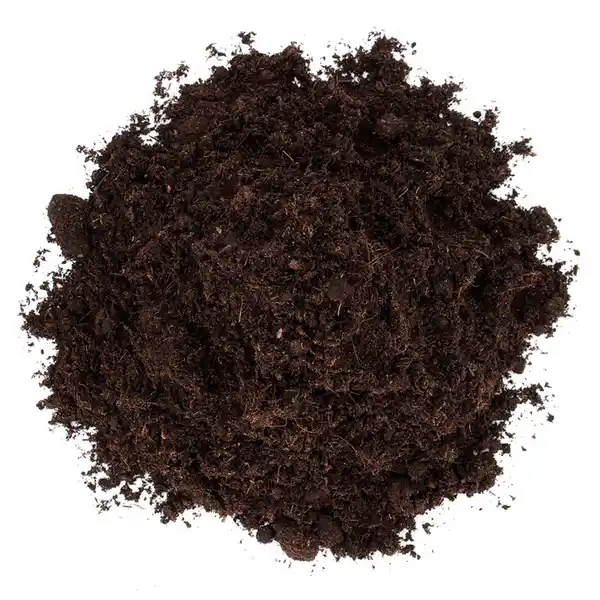 Bild 3 von FLORAGARD Blumenerde »einfach leicht«, 25,0L