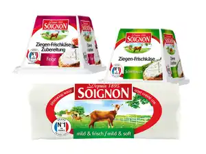 Soignon Ziegenkäse