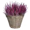 Bild 2 von Mica Decorations Korb, Rattan, HxD 16x20 cm, grau