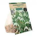 Bild 4 von GARDENLINE Herbstblumenzwiebel-Spezialität 250g