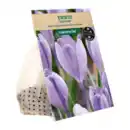 Bild 3 von GARDENLINE Herbstblumenzwiebel-Spezialität 250g