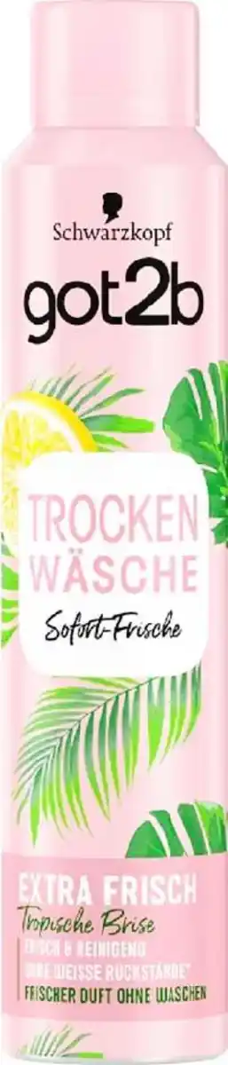Bild 1 von got2b Trockenshampoo 200 ml