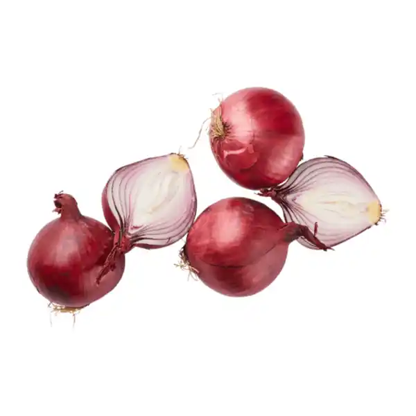 Bild 1 von Speisezwiebeln rot 500g