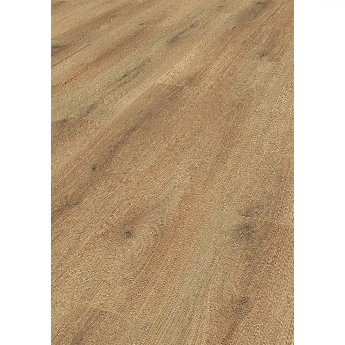 Bild 4 von Laminat 7+1 mm Eiche mit Trittschalldämmung