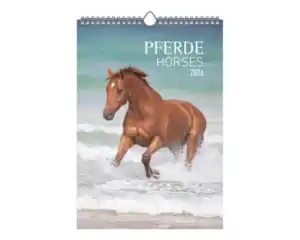 Bildkalender Tiere
