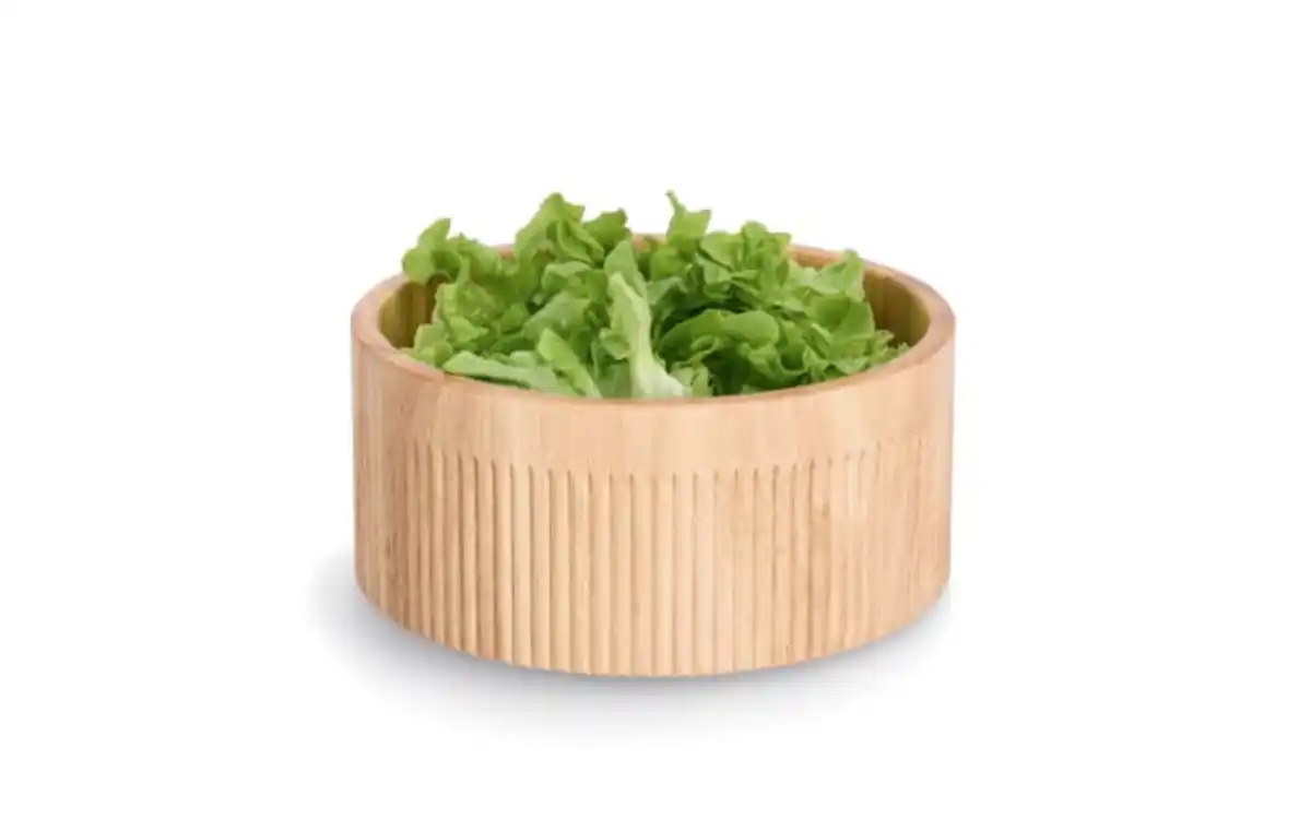 Bild 2 von Schale Gummibaum, natur, 27 cm