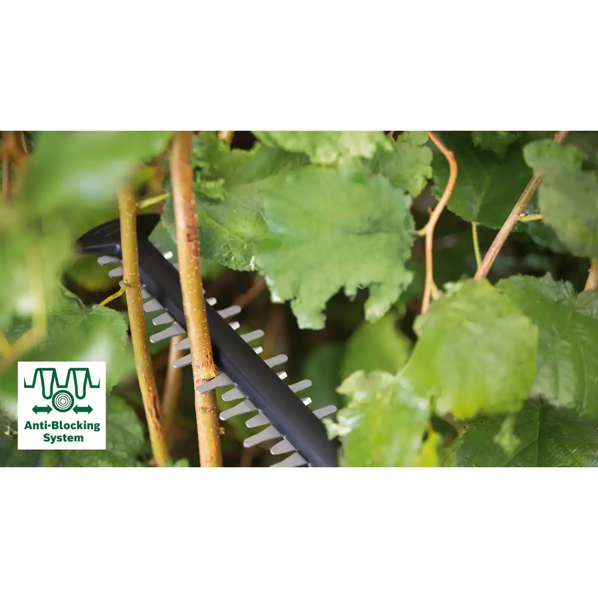 Bild 3 von Bosch Elektro-Heckenschere UniversalHedgeCut 60