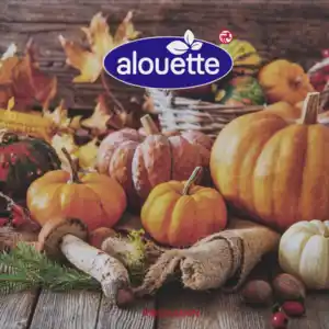 alouette Serviette Kürbisse