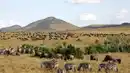 Bild 1 von Rundreisen Kenia: Zwischen wilder Savanne und dem Traumstrand am Indischen Ozean