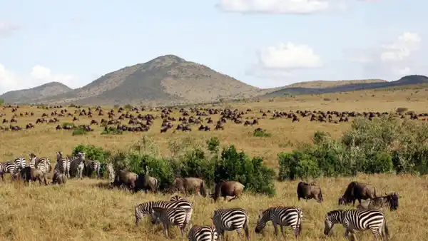 Bild 1 von Rundreisen Kenia: Zwischen wilder Savanne und dem Traumstrand am Indischen Ozean