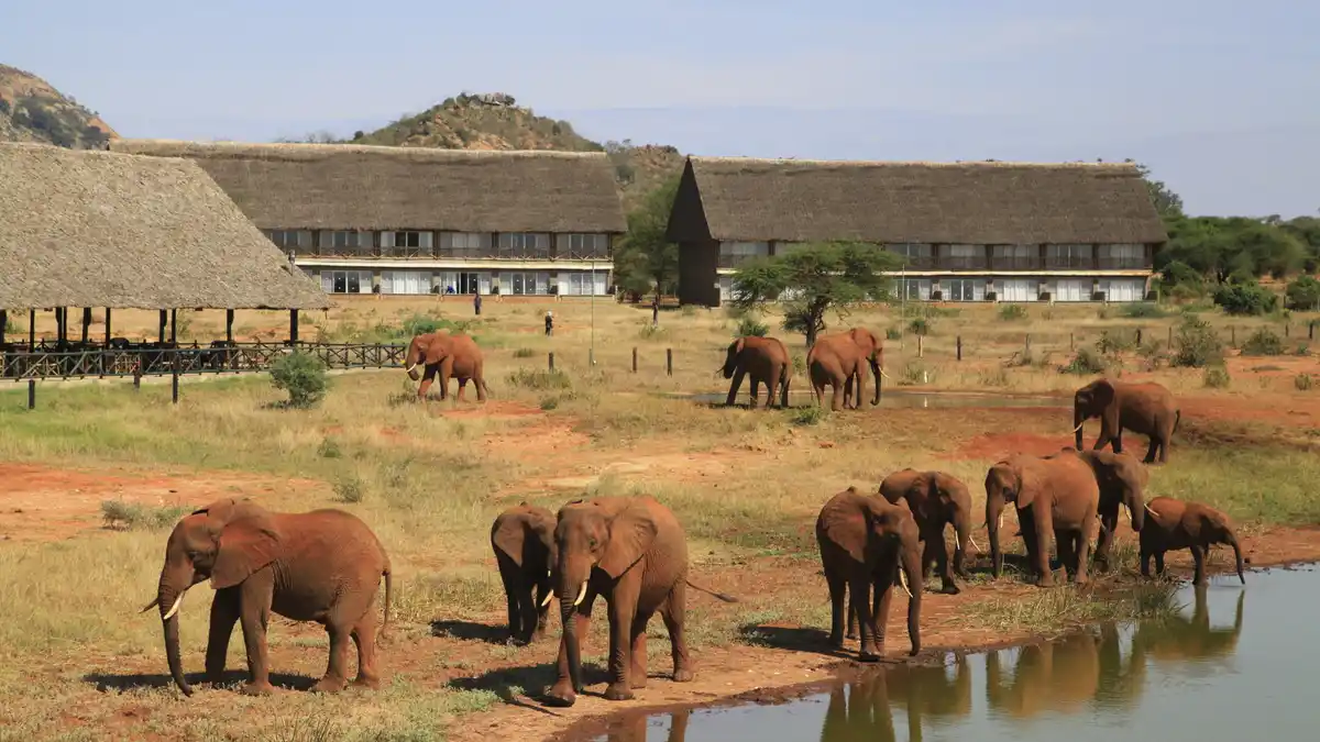 Bild 1 von Kenia - Safari-Erlebnis & Badeurlaub