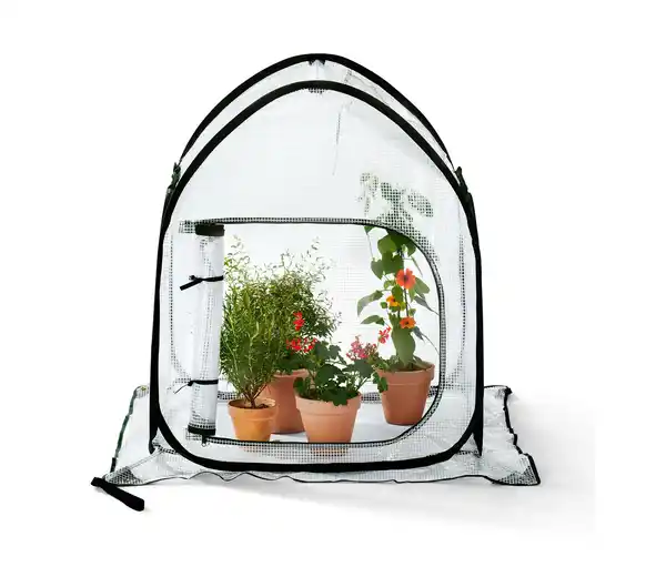 Bild 1 von Kleines Pop-up-Pflanzenschutz-Zelt